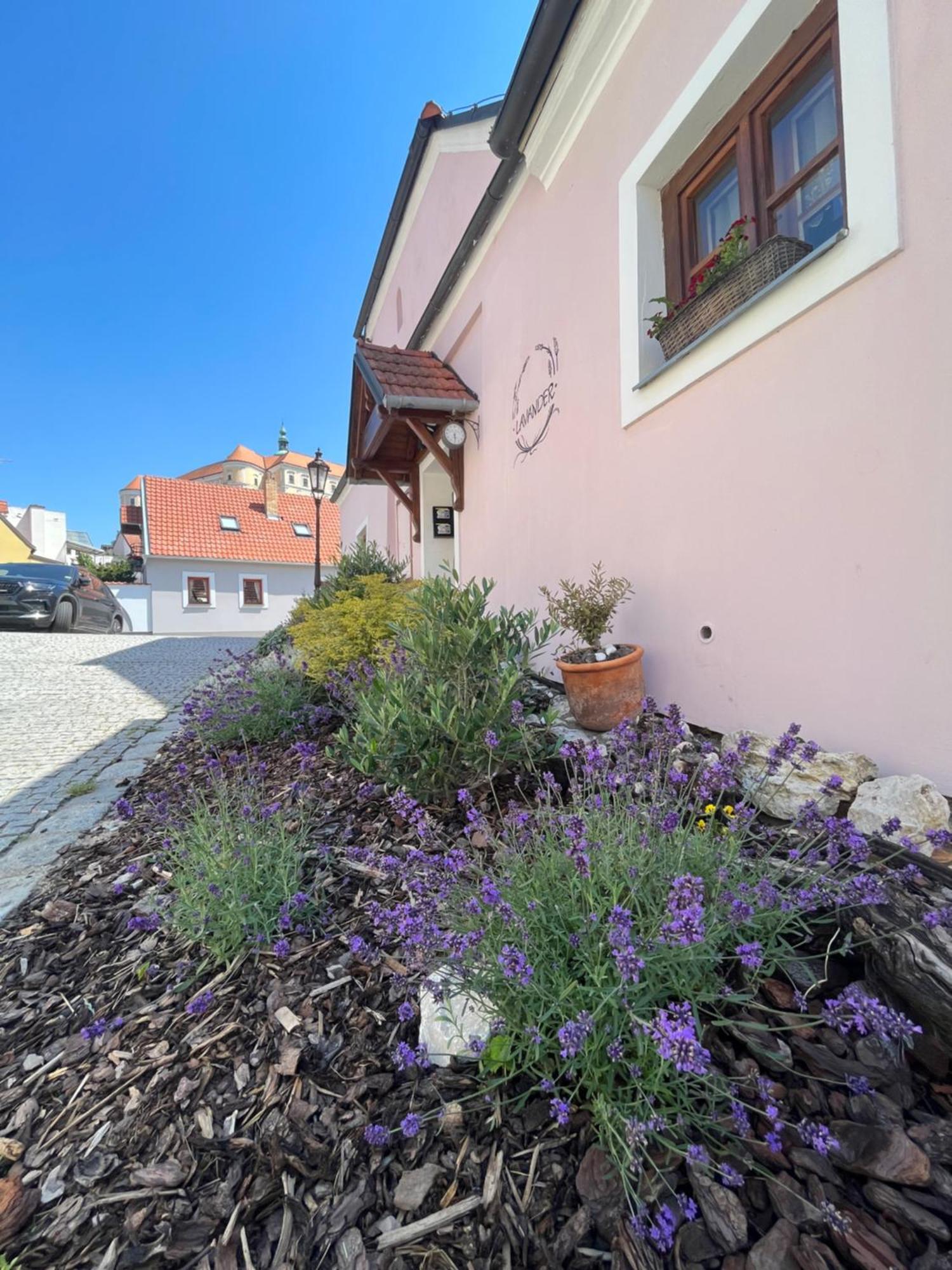 Apartmany Lavander Mikulov Exterior foto
